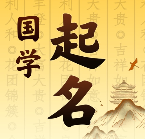 凤山国学起名 人工起名一对一